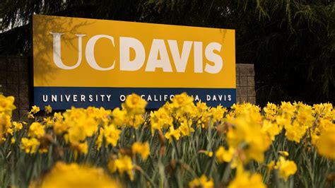 Heres why you should work for UC Davis Health care For most employees working 50. . Uc davis jobs